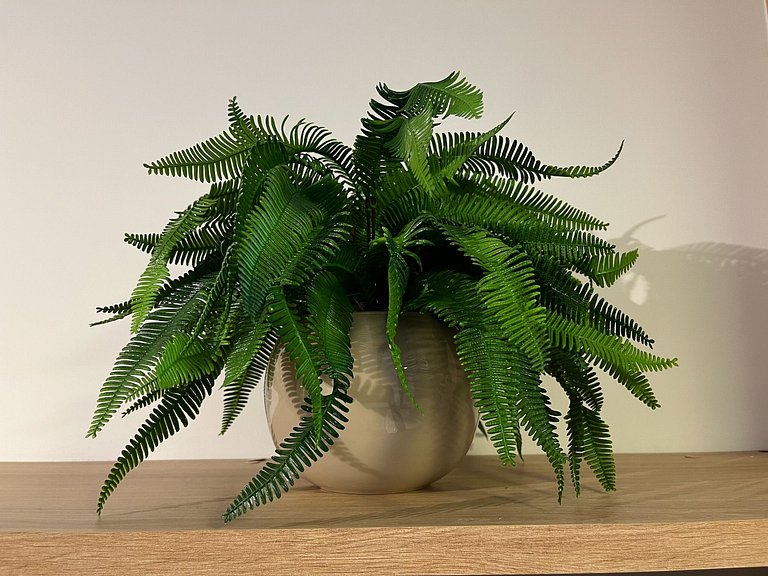 Studio Centro piscina aquecida em 6 x sem juros